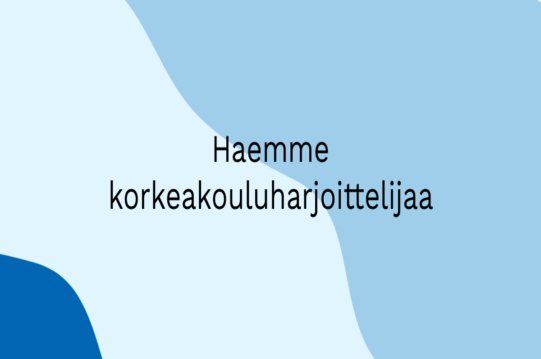 Haemme korkeakouluharjoittelijaa, korkeakouluharjoittelu